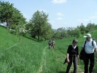 100509 Gemeindewanderung 3