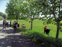 Bild2